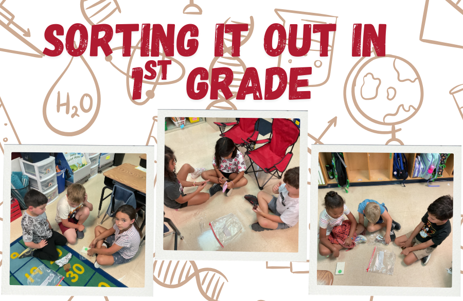Classifying objects in 1st grade