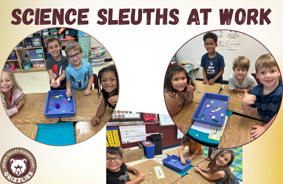 Science Sleuths at Work