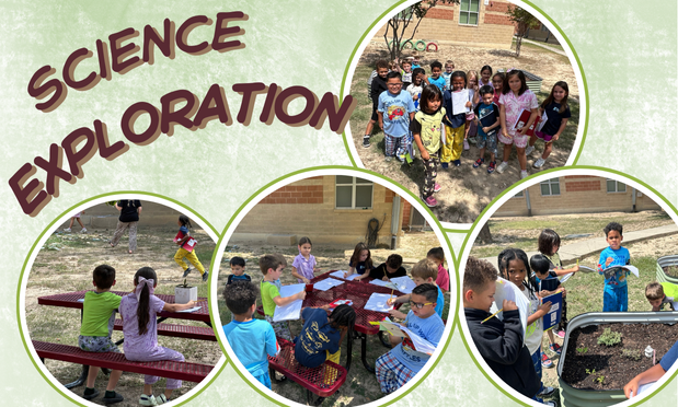 Science Exploration in 1st Grade