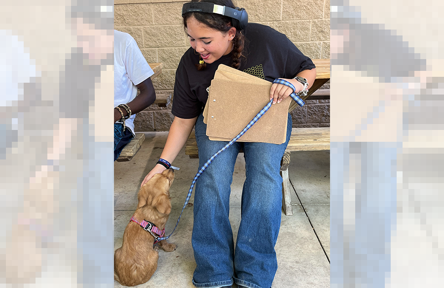a student holds a clipboard, folders, and a dog leash in one hand as she sits on a bench, petting a small dog with her other hand