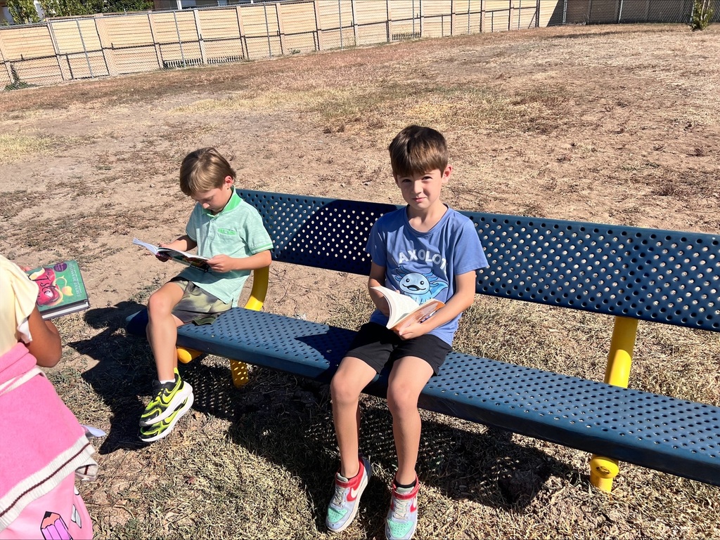 Students reading outdoors