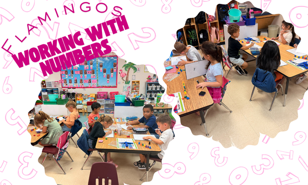 Kindergarten Flamingos working on numbers