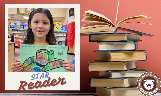 Star Reader completes all 20 of the Texas 2x2 books