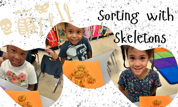 PreK sorting with skeletons!