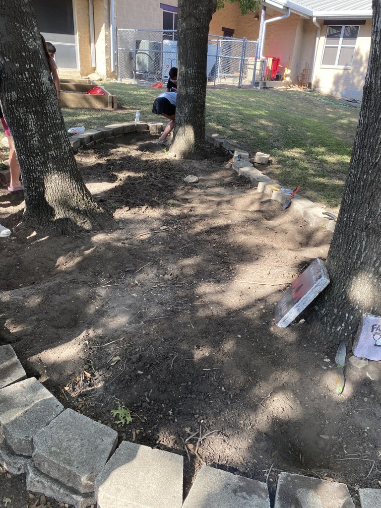 Before pictures of garden