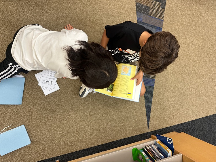 students researching