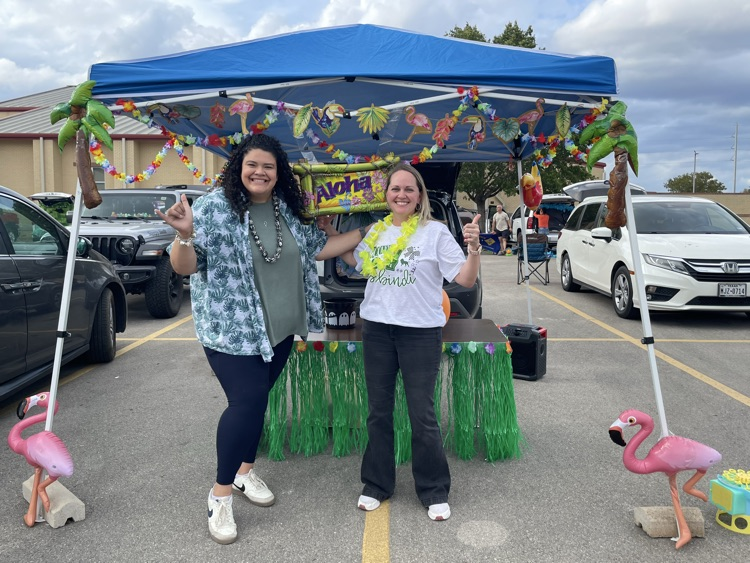 aloha car decorations