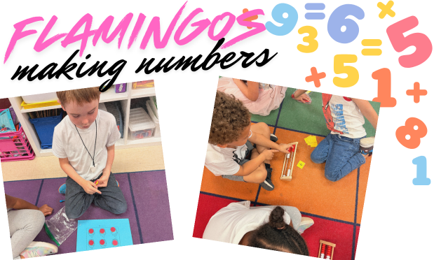 Kinder Flamingos making numbers