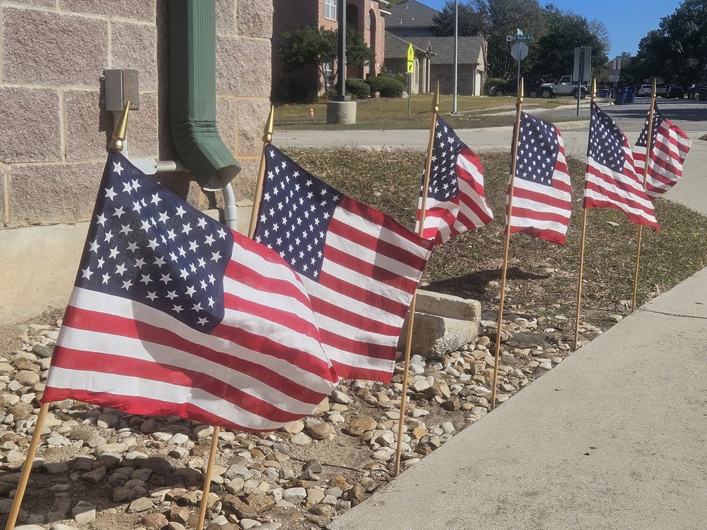 American flags lined the front circle of the school