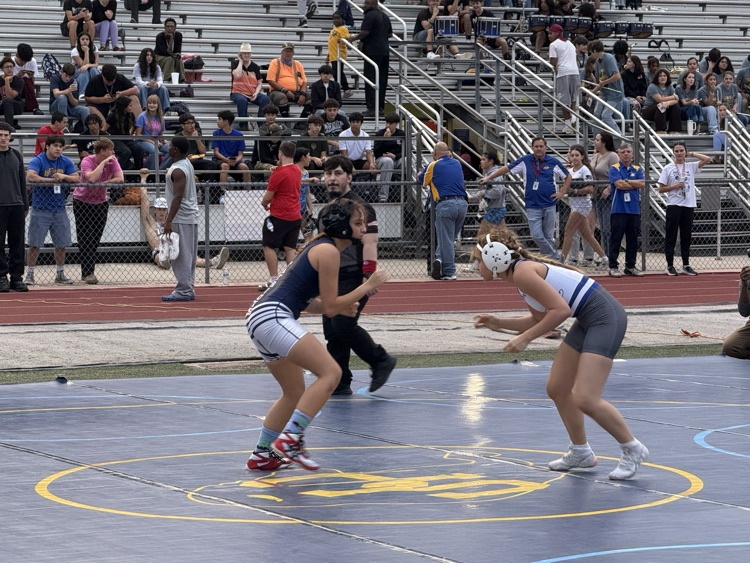 Wrestling at Lehnhoff
