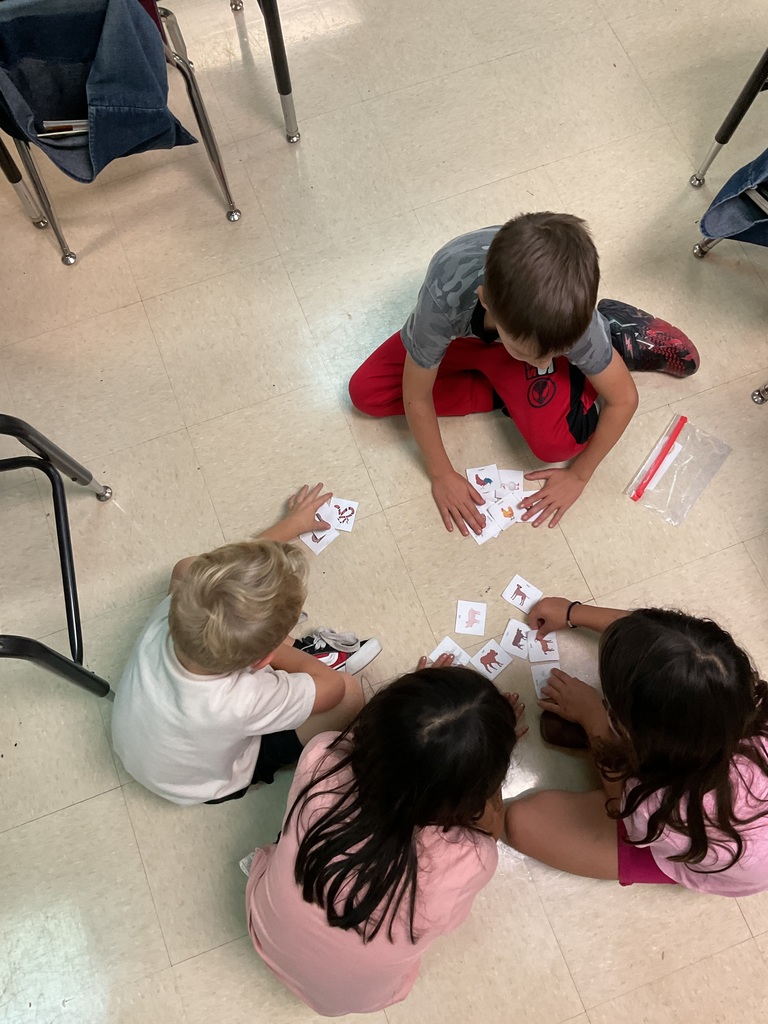 First graders sorting animal data