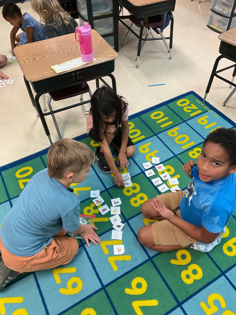 First graders sorting animal data