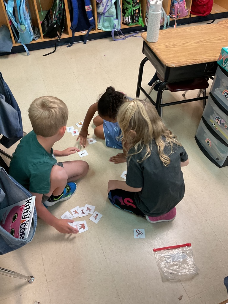 First graders sorting animal data