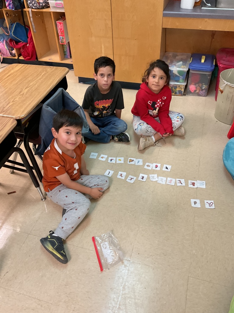 First graders sorting animal data