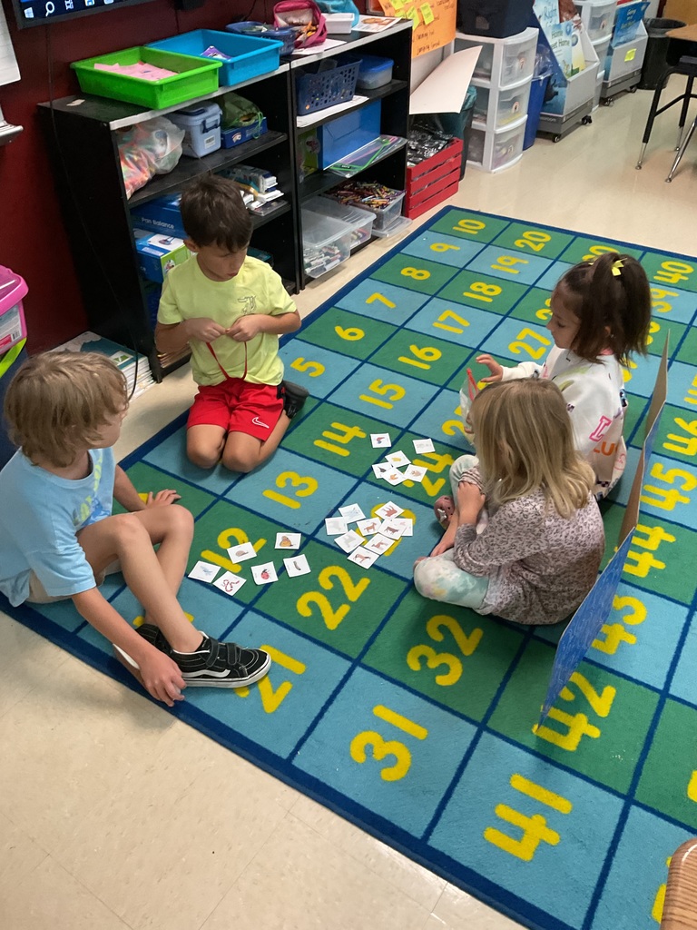 First graders sorting animal data