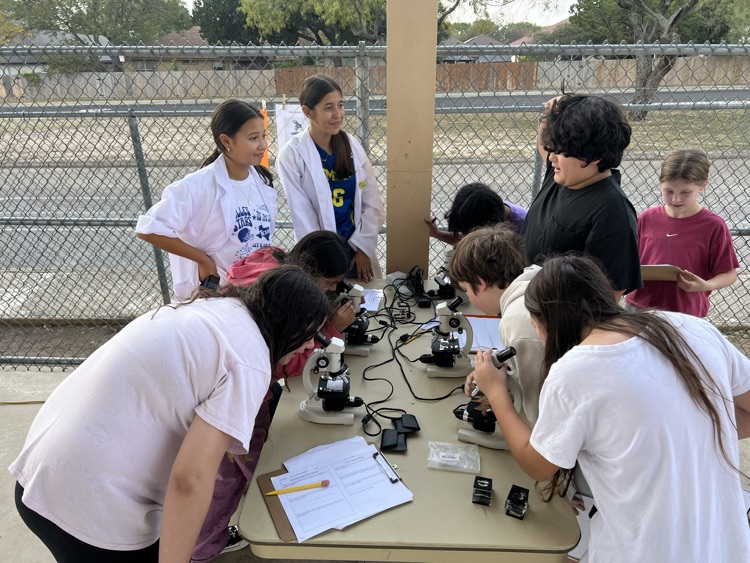 students looking through microscopes 