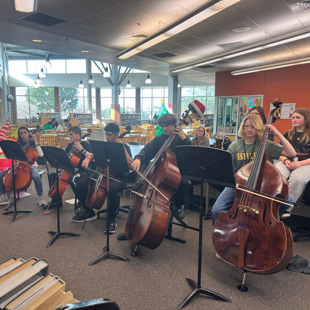 Student's playing stringed instruments in the library
