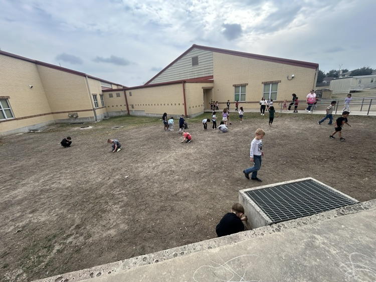 first grade exploring soil