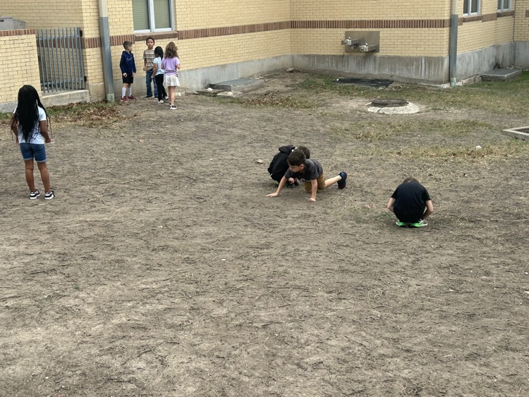 first grade exploring soil