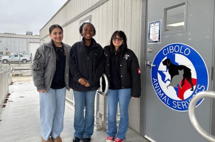 students at the animal shelter