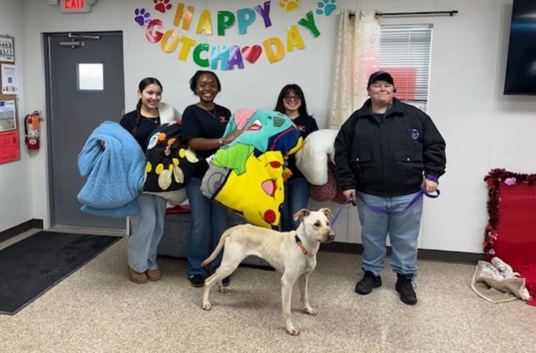 students at the animal shelter