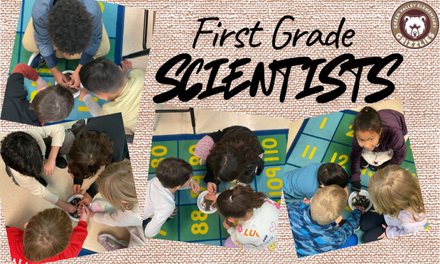 First grade scientists investigating soil.