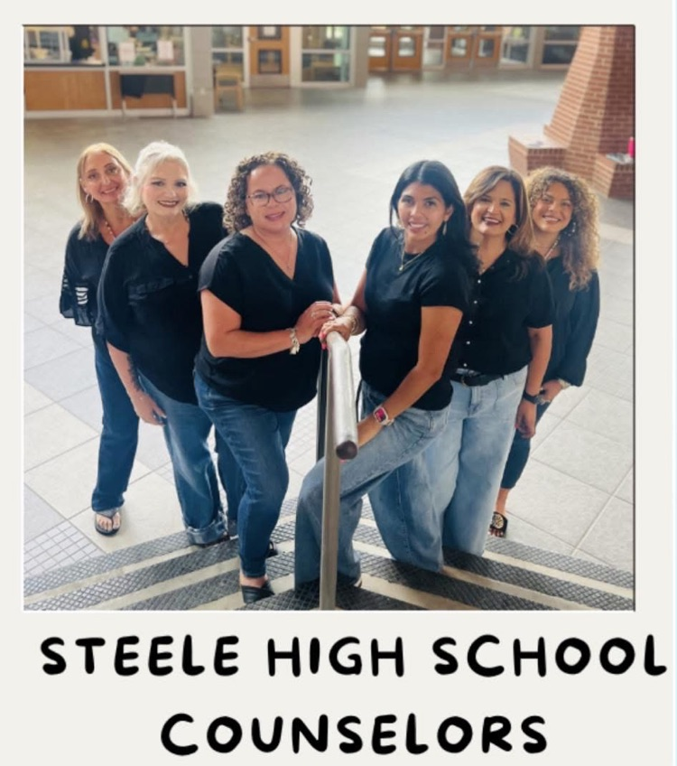 Steele counselors