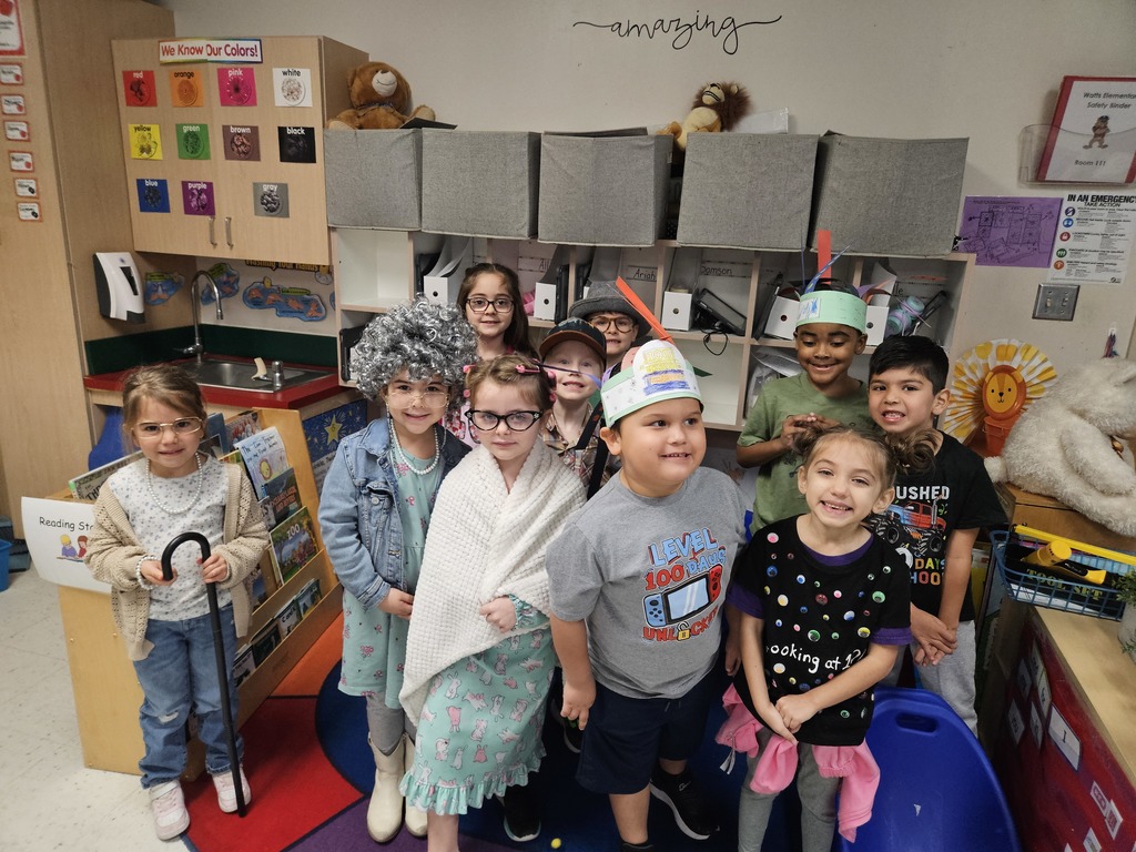 Wildcats celebrate 100 days of school!