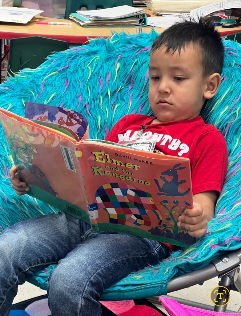 🌟 Emergent Readers in Pre-K 🌟