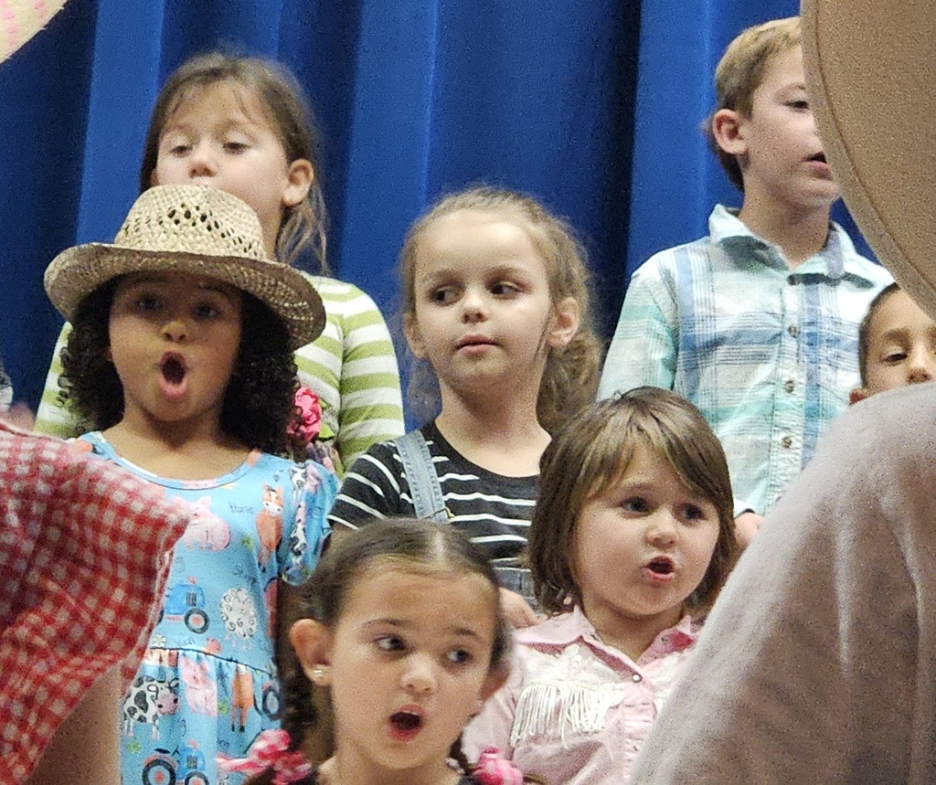 On the Farm with Kindergarten