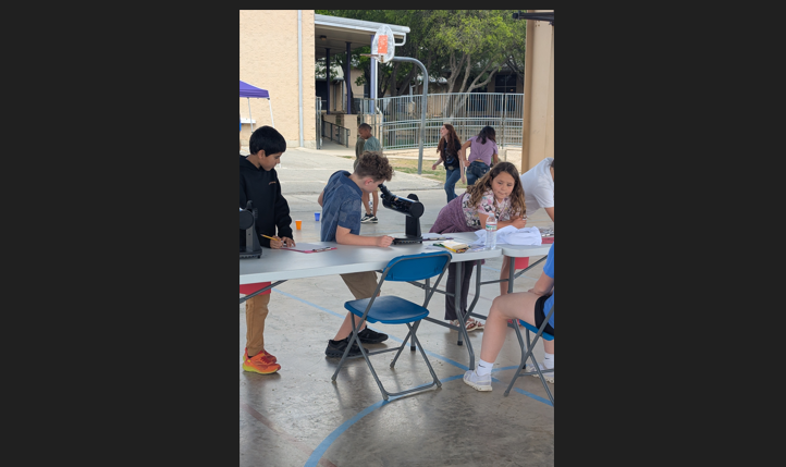 students looking in microscope