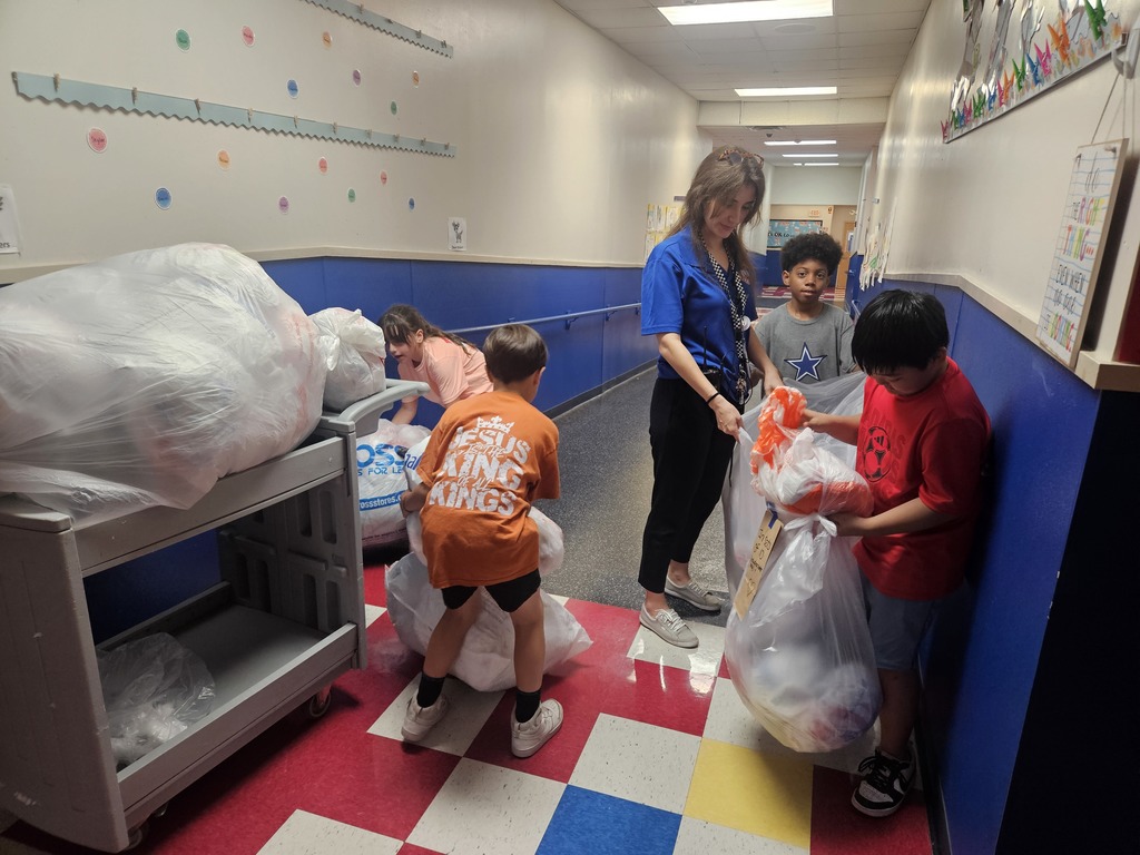 Bag Recycling Challenge