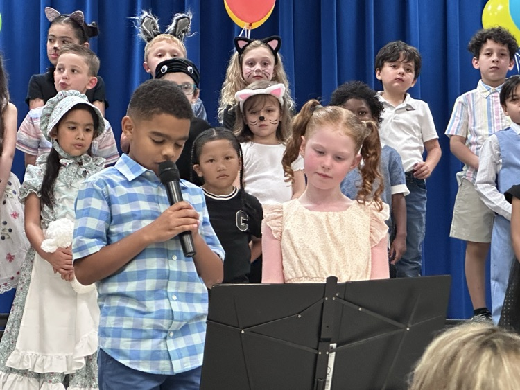 program