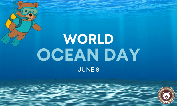 World Ocean Day