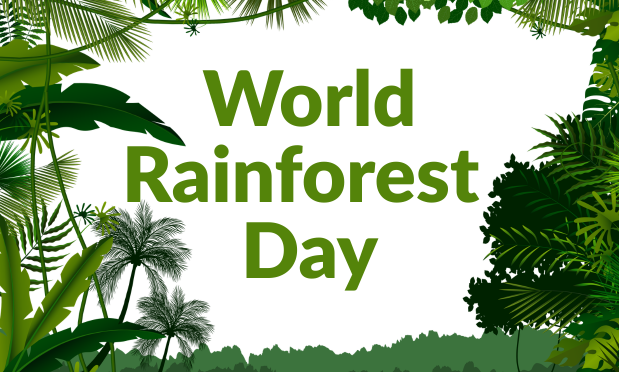 World Rainforest Day