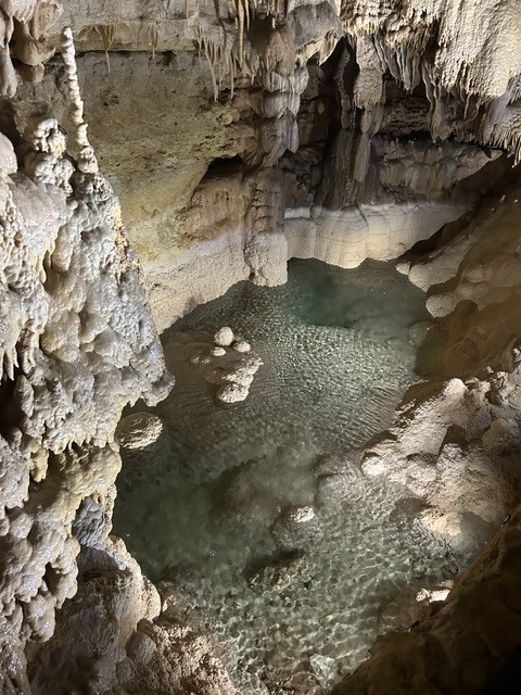 3rd grade field trip to Natural Bridge Caverns