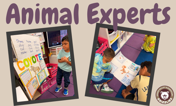 Kinder grizzlies showing off their animal projects to 4th graders. 