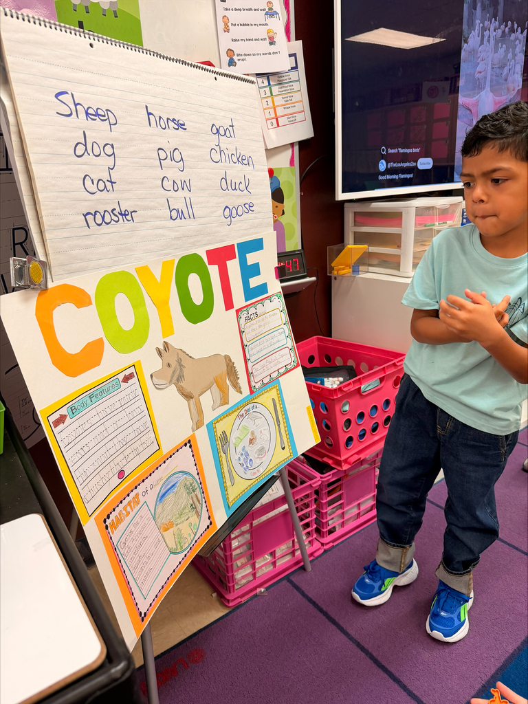 Kinder grizzlies showing off their animal projects to 4th graders. 