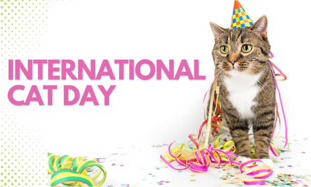 International Cat Day
