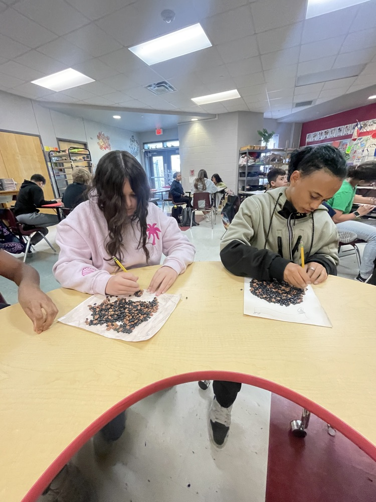 Students drawing an outline of beans spread out on their paper