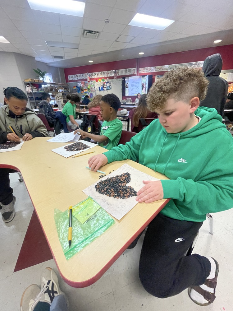 Students drawing an outline of beans spread out on their paper