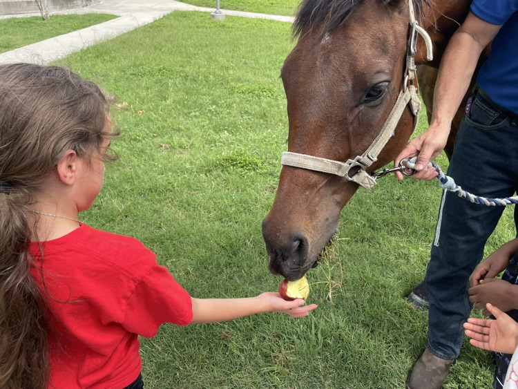 students with horse