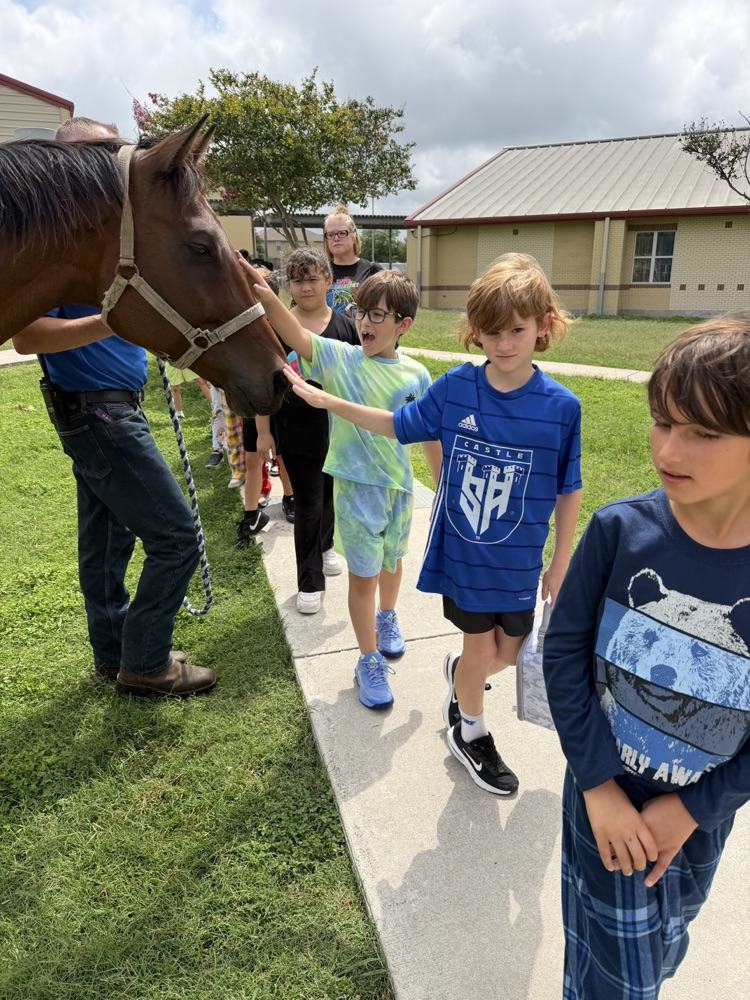 students with horse