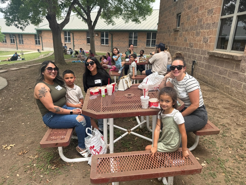 Family Picnic Moments