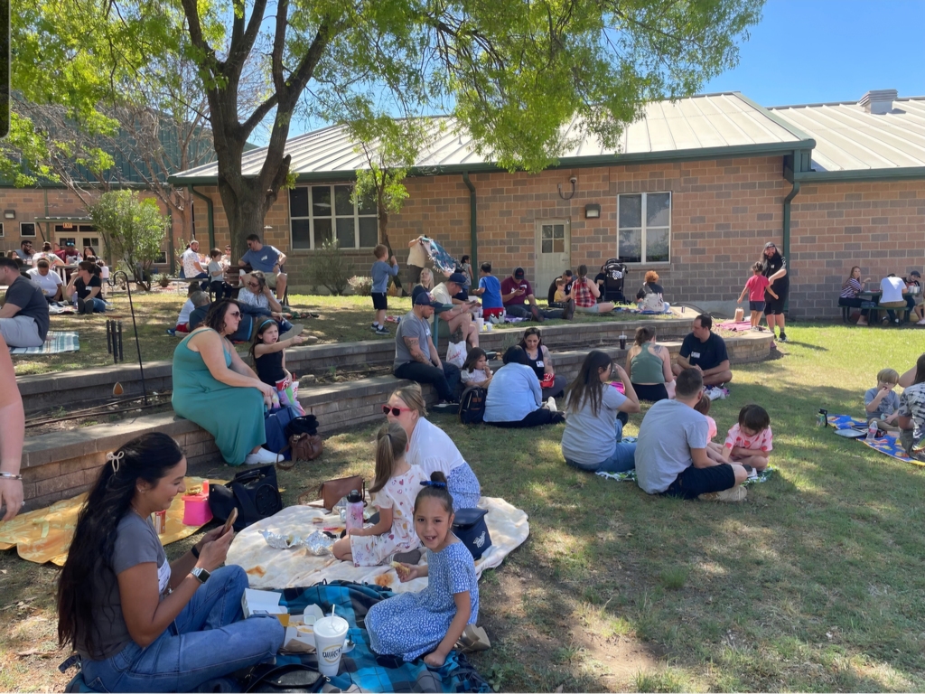 Family Picnic Moments