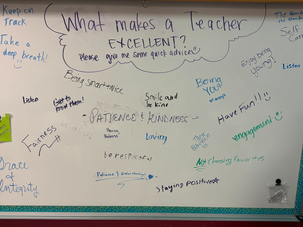Positive words written about What makes a teacher excellent?