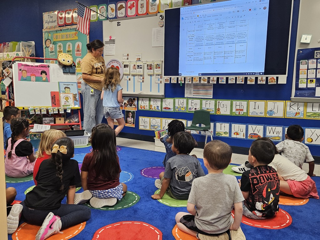 Wildcats in the classroom