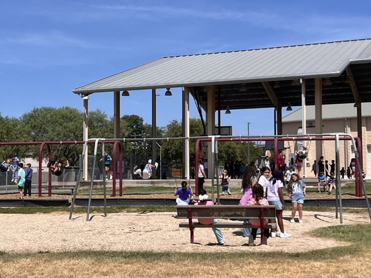 students playing on the swings