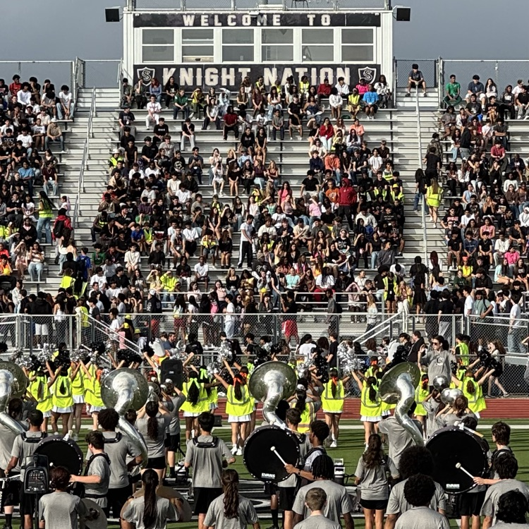 students in stands