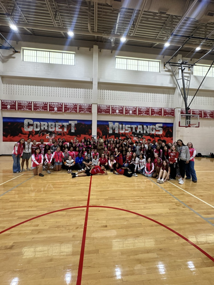 Cross country, volleyball, mascot, cheerleaders